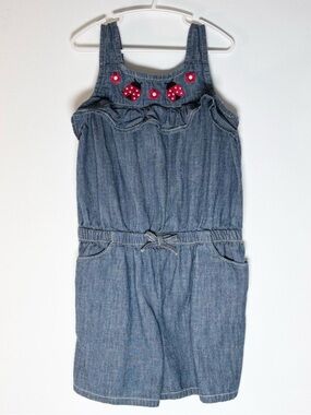 Cottagecore Gymboree Girls Chambray Ladybug Embroidered Ruffle Romper Size 10